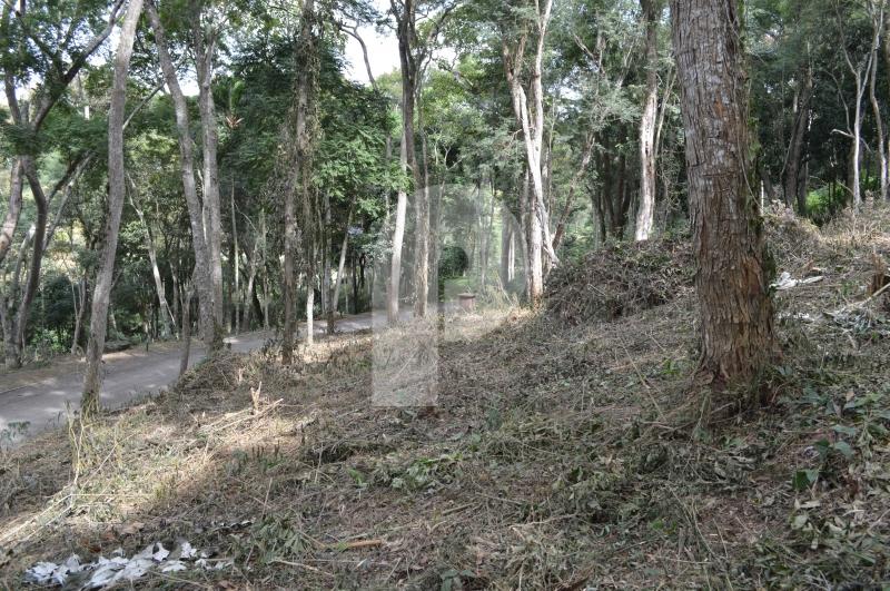 Terreno Residencial à venda em Pedro do Rio, Petrópolis - RJ - Foto 2