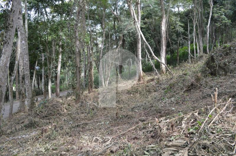 Terreno Residencial à venda em Pedro do Rio, Petrópolis - RJ - Foto 3