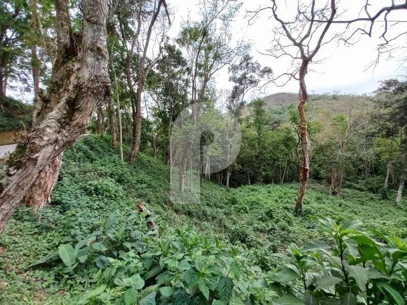 Terreno Residencial à venda em Pedro do Rio, Petrópolis - RJ - Foto 1