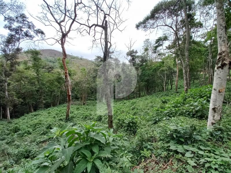 Terreno Residencial à venda em Pedro do Rio, Petrópolis - RJ - Foto 2