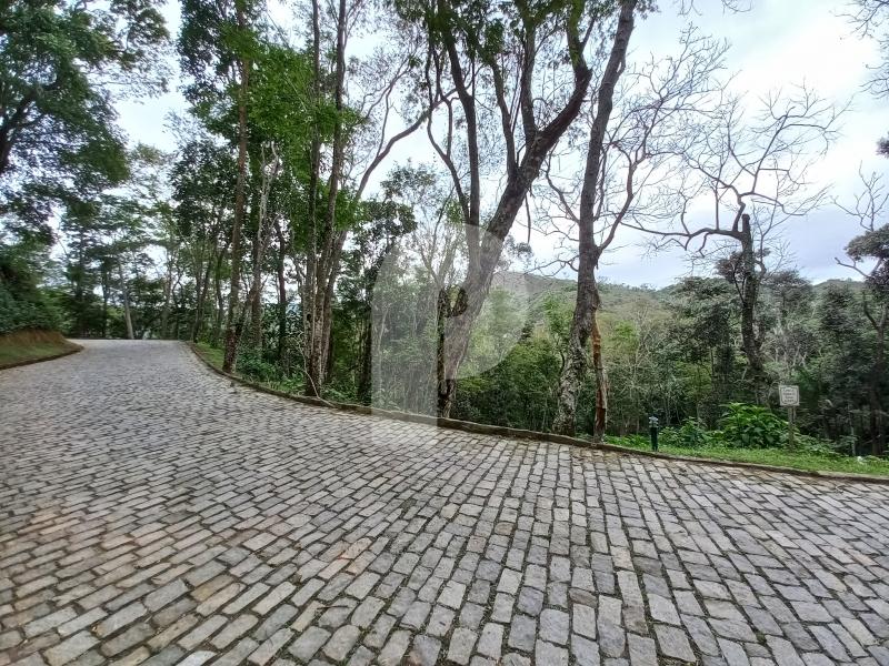 Terreno Residencial à venda em Pedro do Rio, Petrópolis - RJ - Foto 3