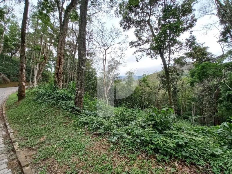 Terreno Residencial à venda em Pedro do Rio, Petrópolis - RJ - Foto 4