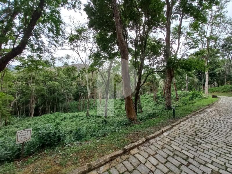 Terreno Residencial à venda em Pedro do Rio, Petrópolis - RJ - Foto 1