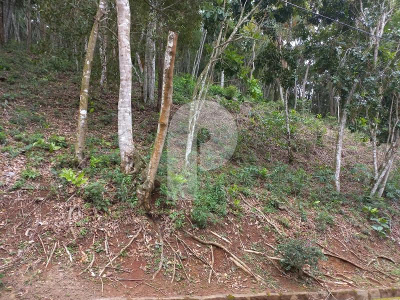 Terreno Residencial à venda em Pedro do Rio, Petrópolis - RJ - Foto 1