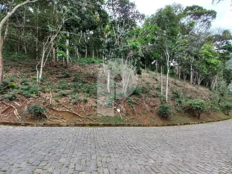 Terreno Residencial à venda em Pedro do Rio, Petrópolis - RJ - Foto 2