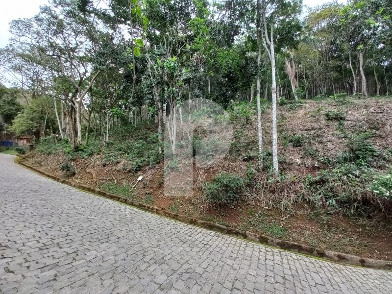 Terreno Residencial à venda em Pedro do Rio, Petrópolis - RJ - Foto 3
