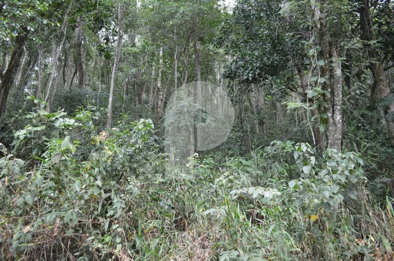Terreno Residencial à venda em Pedro do Rio, Petrópolis - RJ - Foto 1