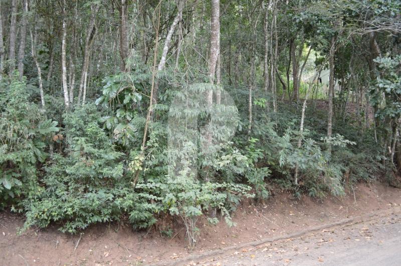 Terreno Residencial à venda em Pedro do Rio, Petrópolis - RJ - Foto 2