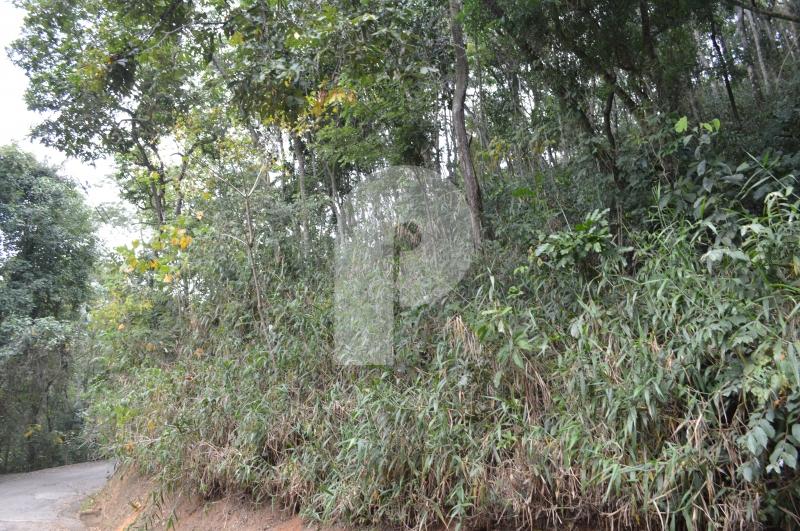 Terreno Residencial à venda em Pedro do Rio, Petrópolis - RJ - Foto 3