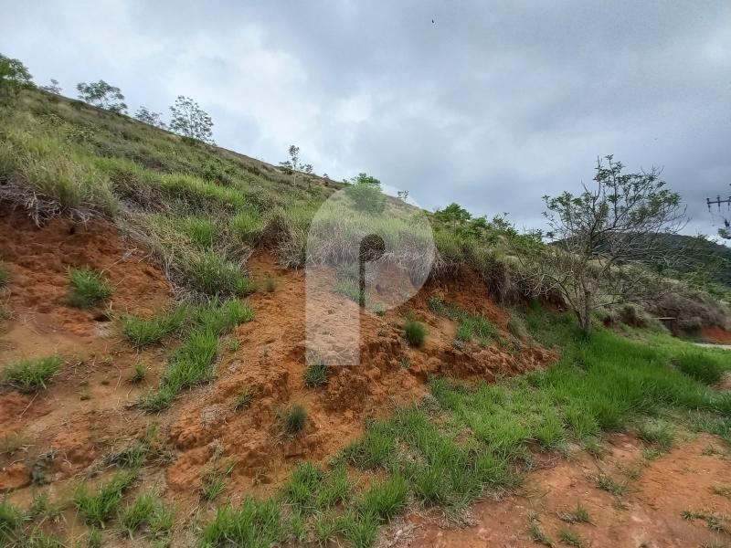 Terreno Residencial à venda em Pedro do Rio, Petrópolis - RJ - Foto 2