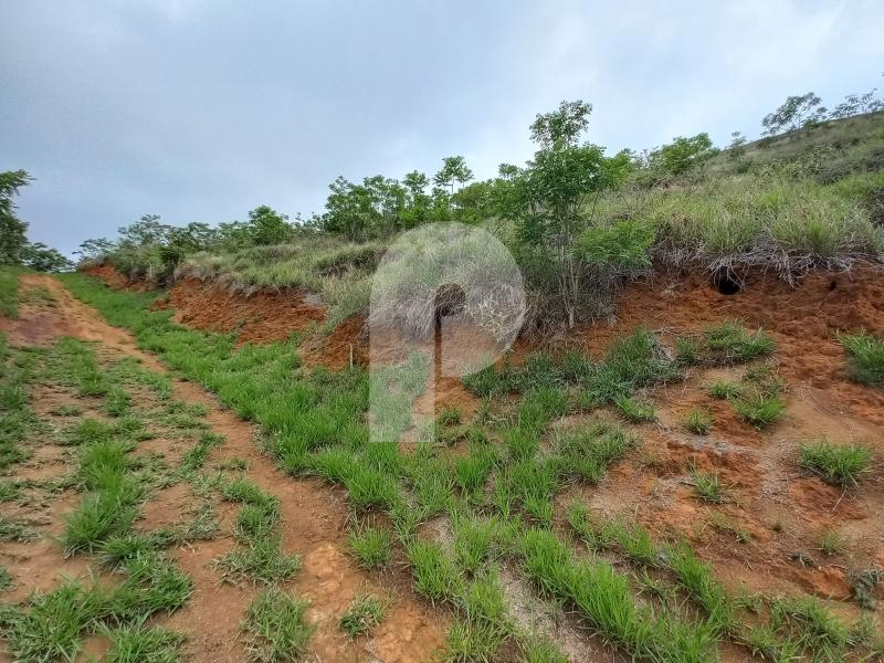 Terreno Residencial à venda em Pedro do Rio, Petrópolis - RJ - Foto 3