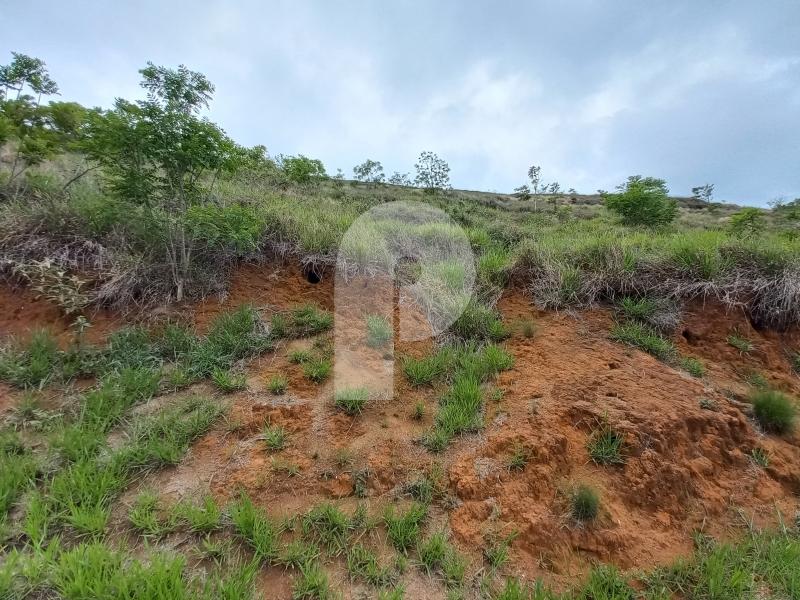 Terreno Residencial à venda em Pedro do Rio, Petrópolis - RJ - Foto 4