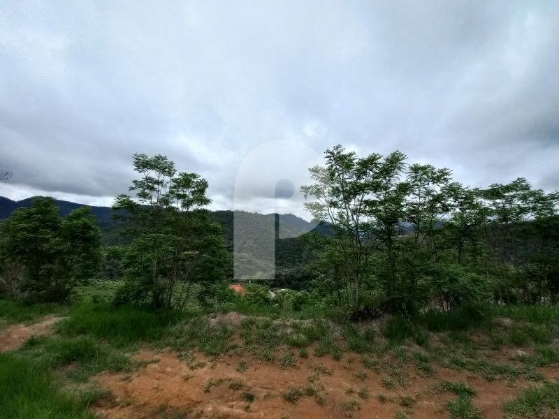 Terreno Residencial à venda em Pedro do Rio, Petrópolis - RJ - Foto 5