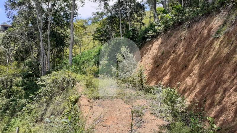 Terreno Residencial à venda em Itaipava, Petrópolis - RJ - Foto 3
