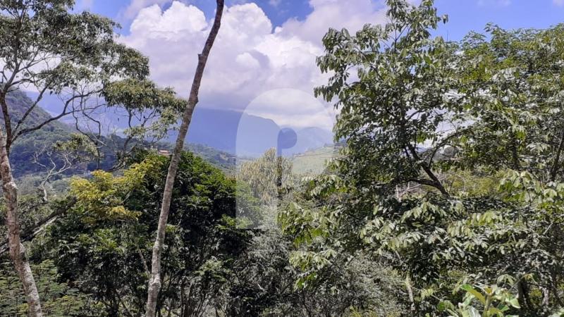 Terreno Residencial à venda em Itaipava, Petrópolis - RJ - Foto 4