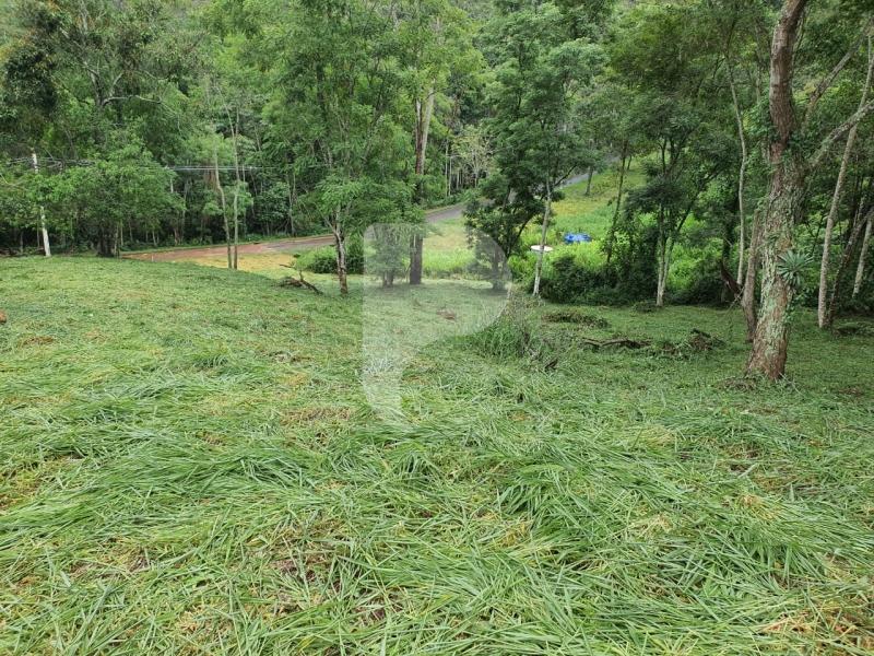 Terreno Residencial à venda em Itaipava, Petrópolis - RJ - Foto 1
