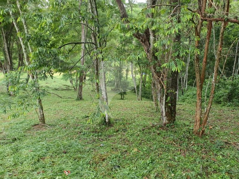 Terreno Residencial à venda em Itaipava, Petrópolis - RJ - Foto 3