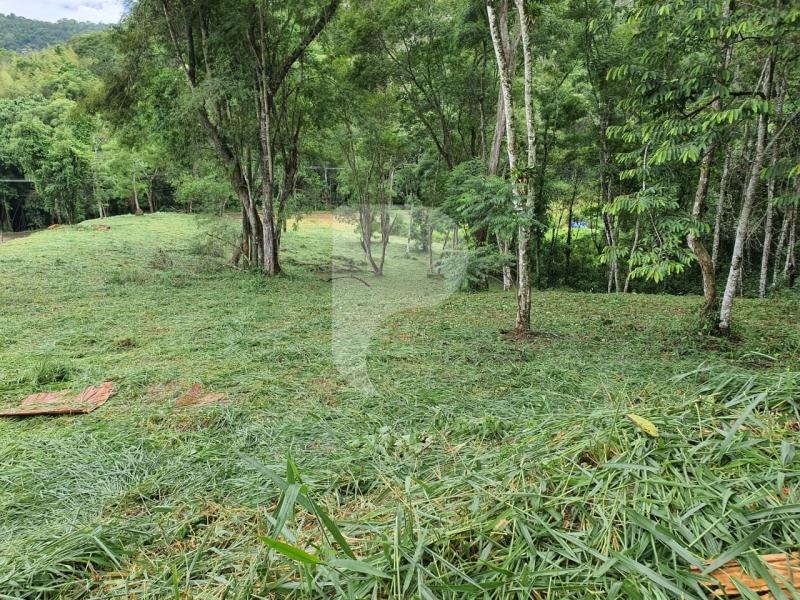 Terreno Residencial à venda em Itaipava, Petrópolis - RJ - Foto 5