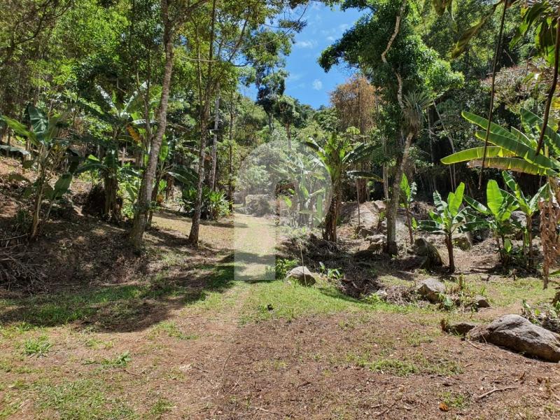 Terreno Residencial à venda em Corrêas, Petrópolis - RJ - Foto 2