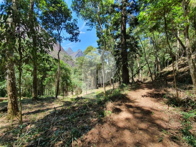 Terreno Residencial à venda em Corrêas, Petrópolis - RJ - Foto 3
