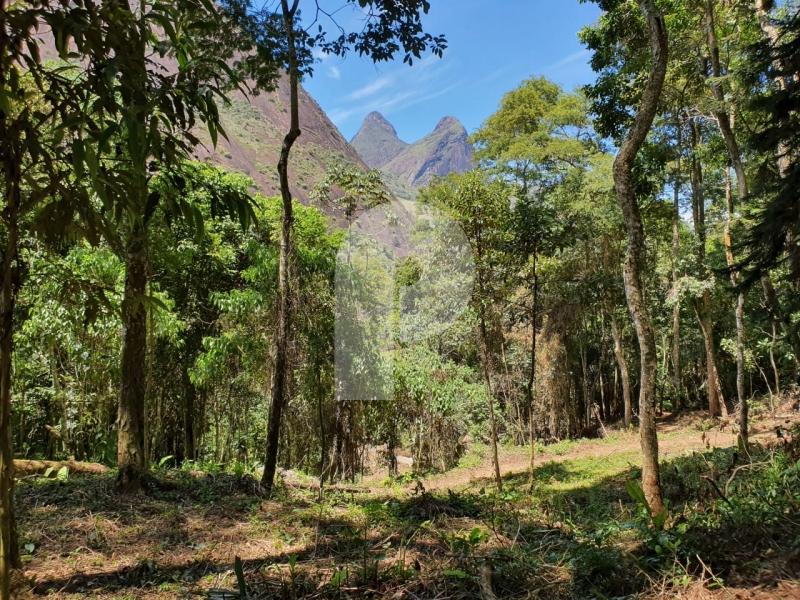 Terreno Residencial à venda em Corrêas, Petrópolis - RJ - Foto 4