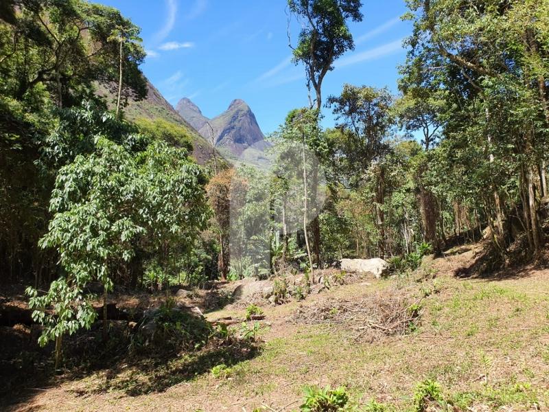 Terreno Residencial à venda em Corrêas, Petrópolis - RJ - Foto 5