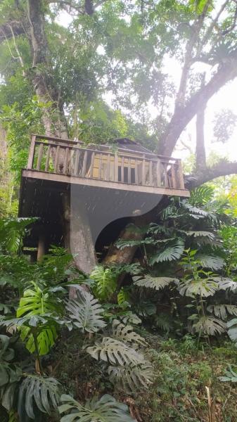 Casa à venda em Corrêas, Petrópolis - RJ - Foto 5