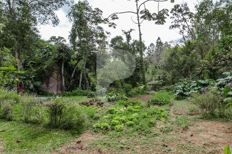 Fazenda - Petrópolis, Itaipava
