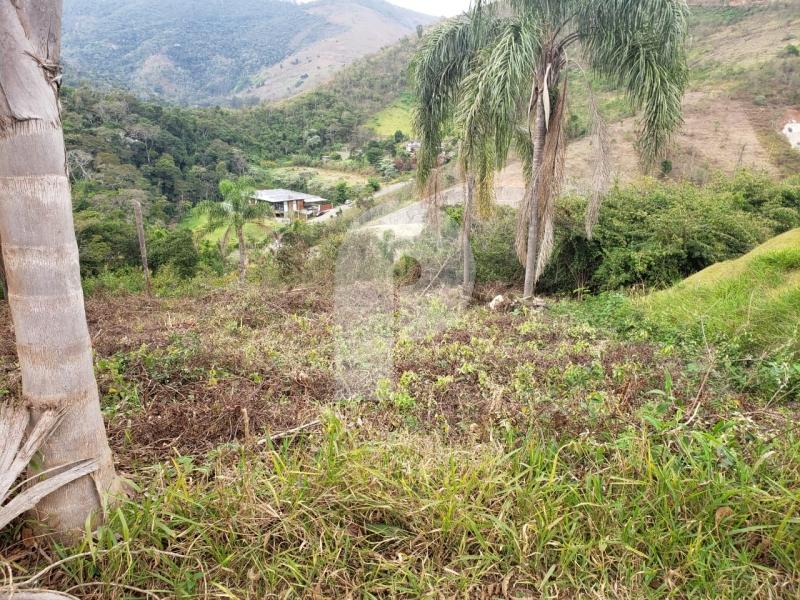 Terreno Residencial à venda em Pedro do Rio, Petrópolis - RJ - Foto 1