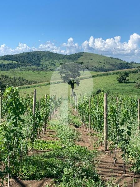 Terreno Residencial à venda em Centro, Areal - RJ - Foto 2