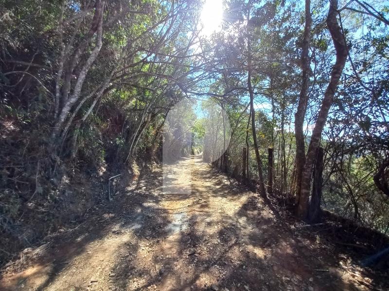 Terreno Residencial à venda em Itaipava, Petrópolis - RJ - Foto 3