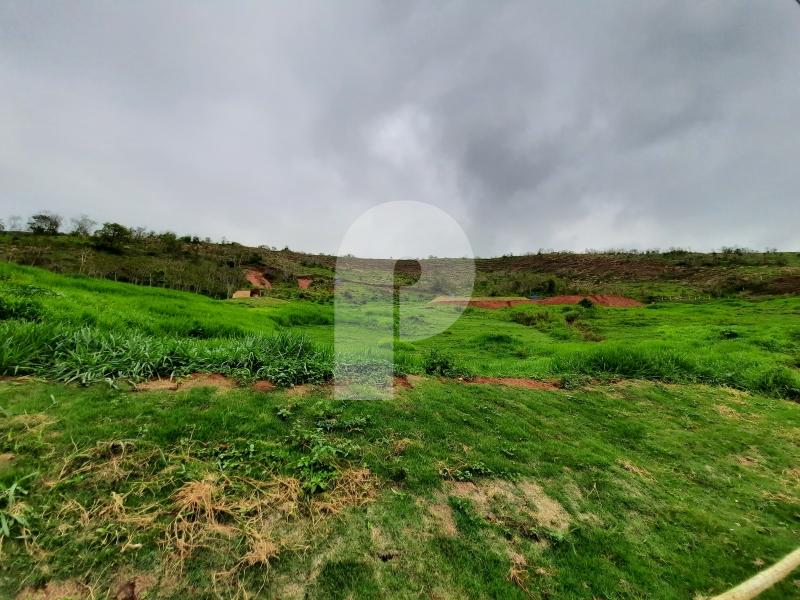 Terreno Residencial à venda em Secretário, Petrópolis - RJ - Foto 1