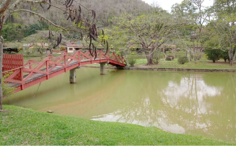 Terreno Residencial à venda em Secretário, Petrópolis - RJ - Foto 9