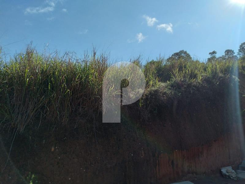 Terreno Residencial à venda em Centro, Areal - RJ - Foto 1