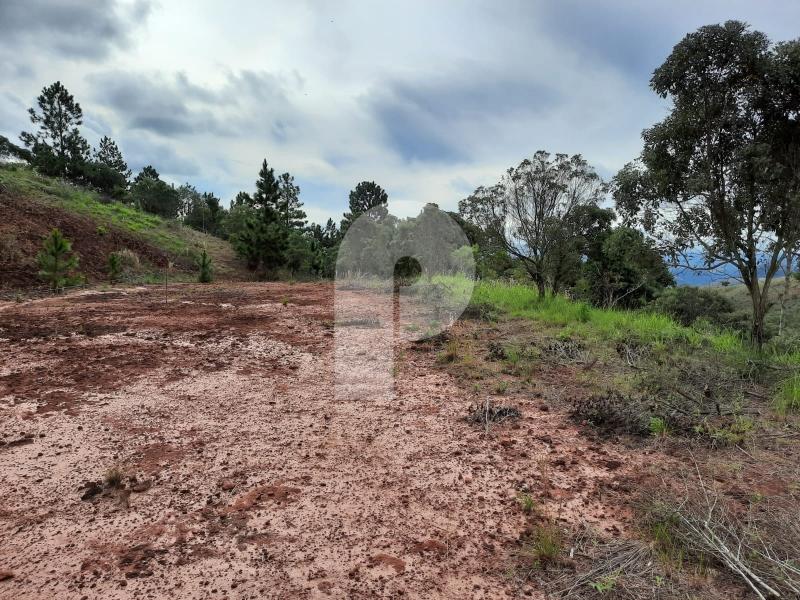 Terreno Residencial à venda em Pedro do Rio, Petrópolis - RJ - Foto 1