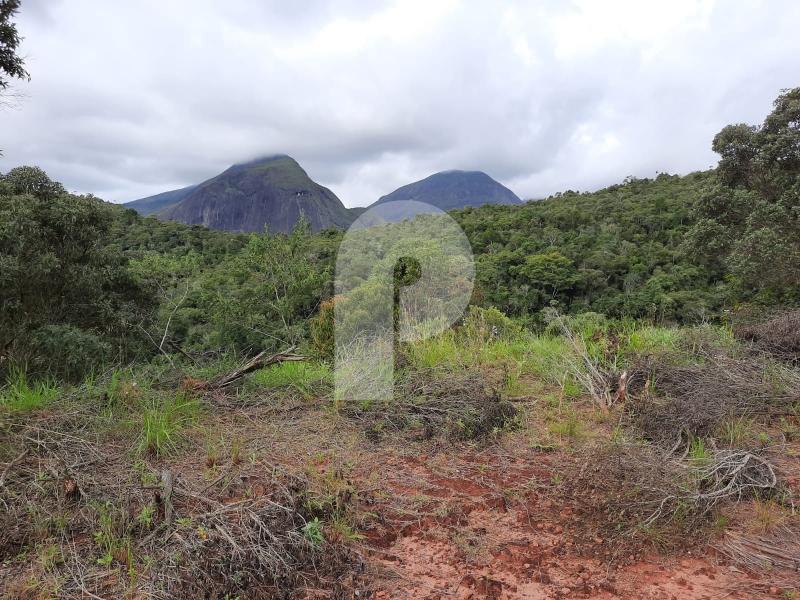 Terreno Residencial à venda em Pedro do Rio, Petrópolis - RJ - Foto 2