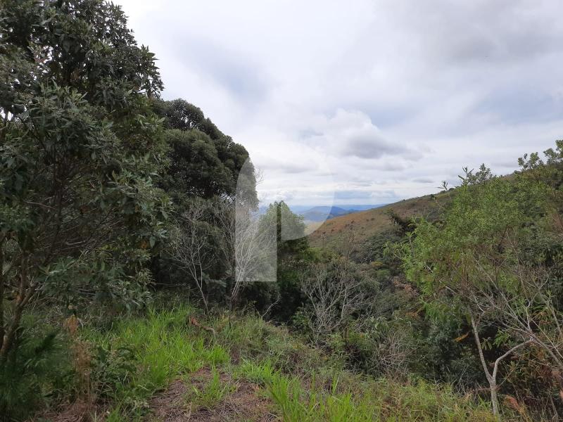 Terreno Residencial à venda em Pedro do Rio, Petrópolis - RJ - Foto 3