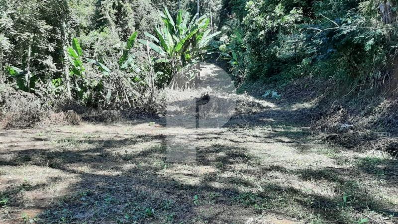 Terreno Comercial à venda em Cedro, Areal - RJ - Foto 1