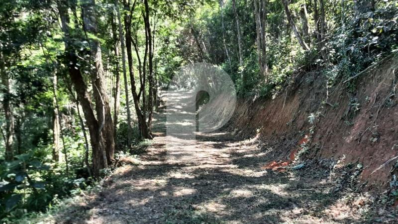 Terreno Comercial à venda em Cedro, Areal - RJ - Foto 2