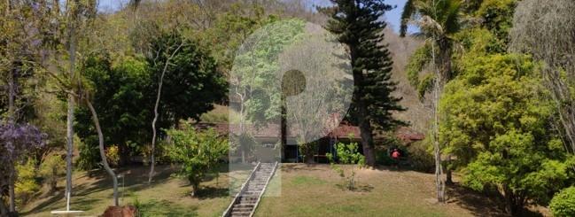 Fazenda / Sítio à venda em Centro, São José do Vale do Rio Preto - RJ - Foto 10