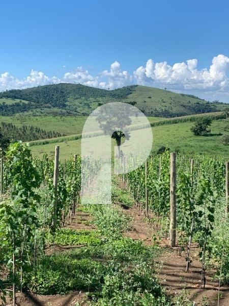 Terreno Residencial à venda em Centro, Areal - RJ - Foto 3