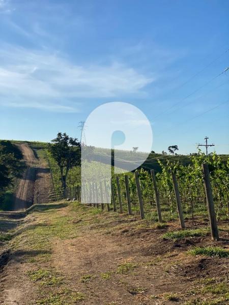 Terreno Residencial à venda em Centro, Areal - RJ - Foto 2