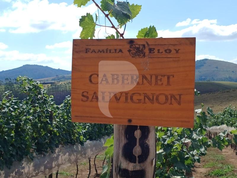 Terreno Residencial à venda em Centro, Areal - RJ - Foto 22