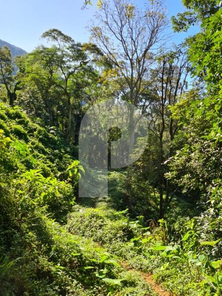 Terreno Residencial à venda em Quarteirão Brasileiro, Petrópolis - RJ - Foto 7