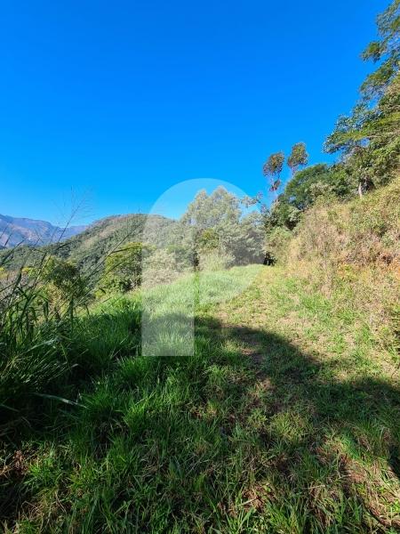 Terreno Residencial à venda em Quarteirão Brasileiro, Petrópolis - RJ - Foto 8