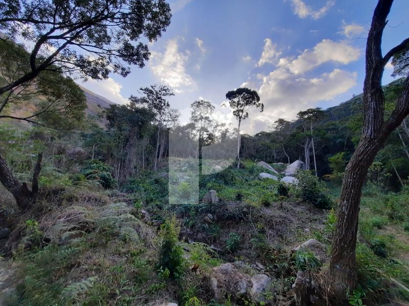 Terreno Residencial à venda em Itaipava, Petrópolis - RJ - Foto 1