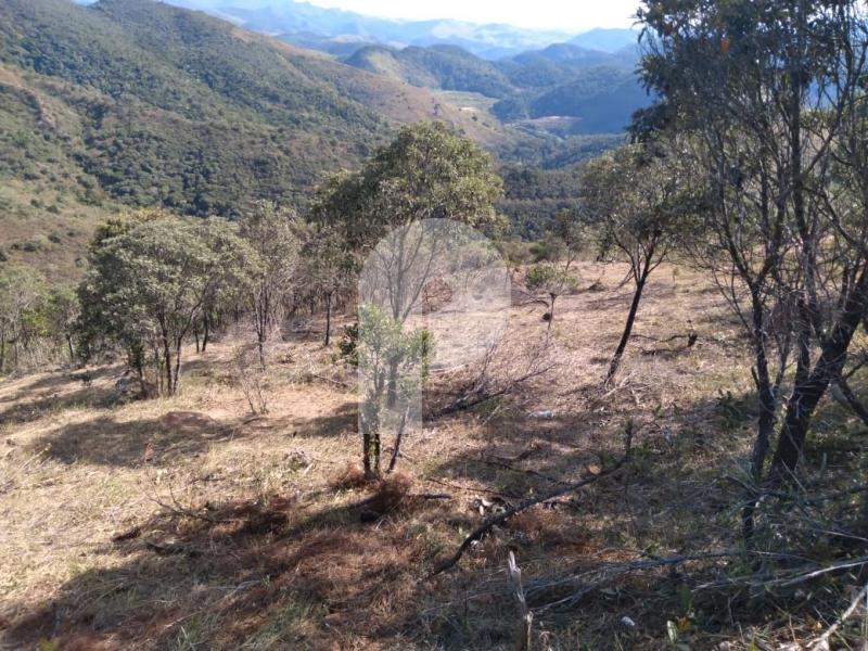 Terreno Residencial à venda em Pedro do Rio, Petrópolis - RJ - Foto 3