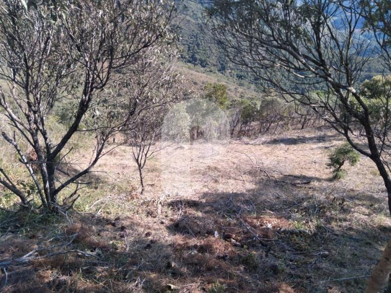 Terreno Residencial à venda em Pedro do Rio, Petrópolis - RJ - Foto 4