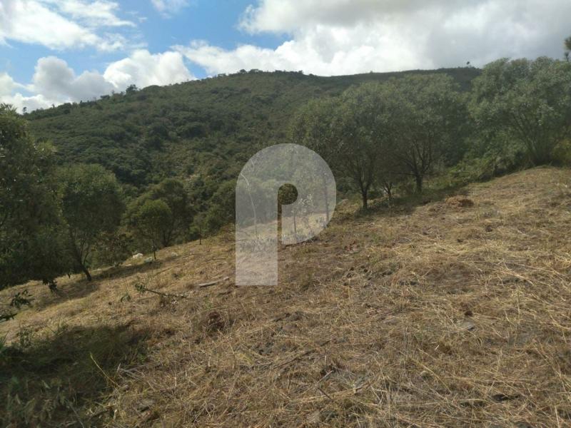 Terreno Residencial à venda em Pedro do Rio, Petrópolis - RJ - Foto 2