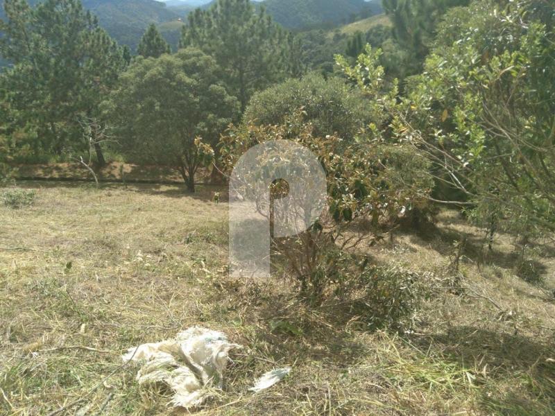 Terreno Residencial à venda em Pedro do Rio, Petrópolis - RJ - Foto 1